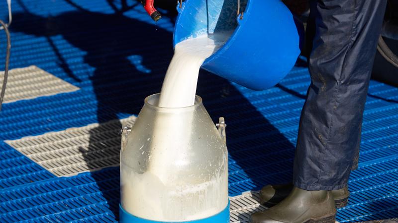 milk
