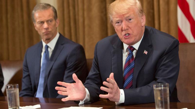 John Thune